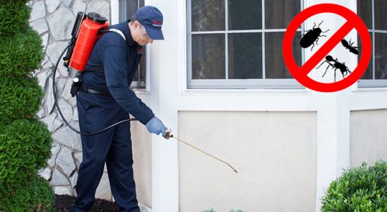 Karesi Gümüşkurt İlaçlama böcek ilaçlama ve haşere kontrolü — ilaclama-tr.com